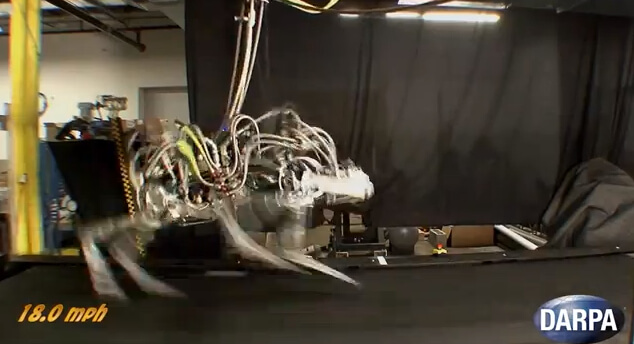 WATCH: Cheetah Robot Sets Speed Record | SolidLine Media